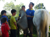 School Holiday Programme-Own A Pony Day